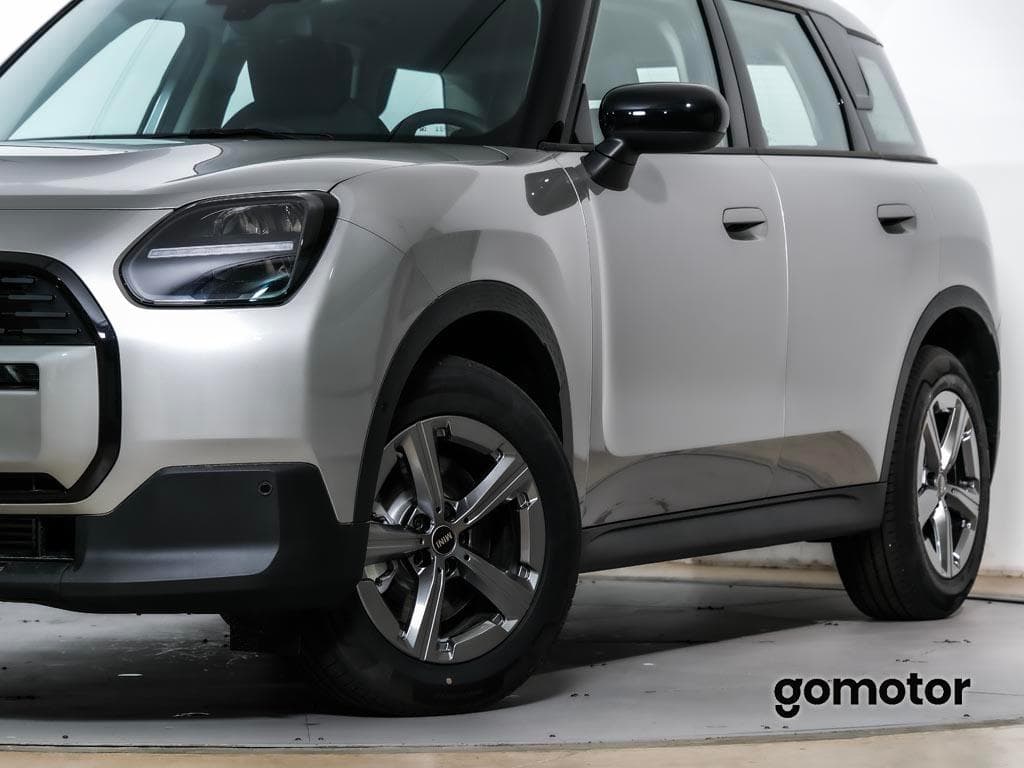 Imagen 8 del mini countryman