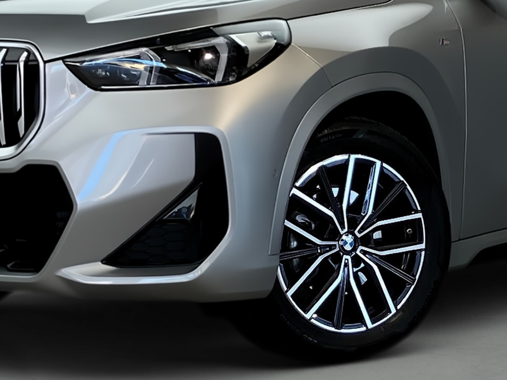 Imagen 7 del bmw x1