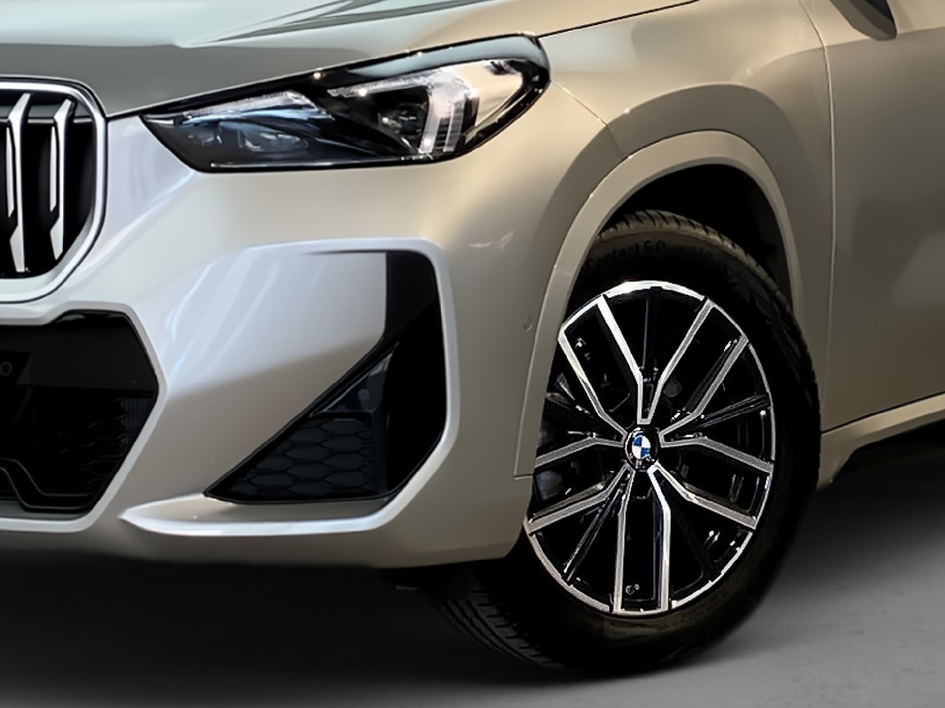 Imagen 7 del bmw 