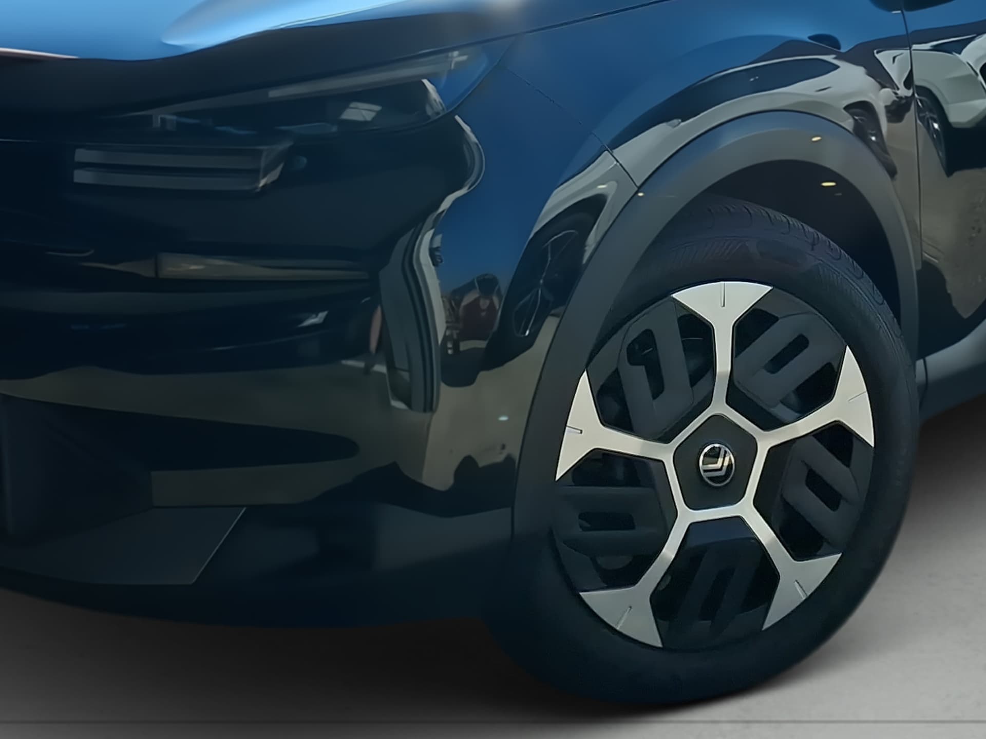 Imagen 7 del citroen c4