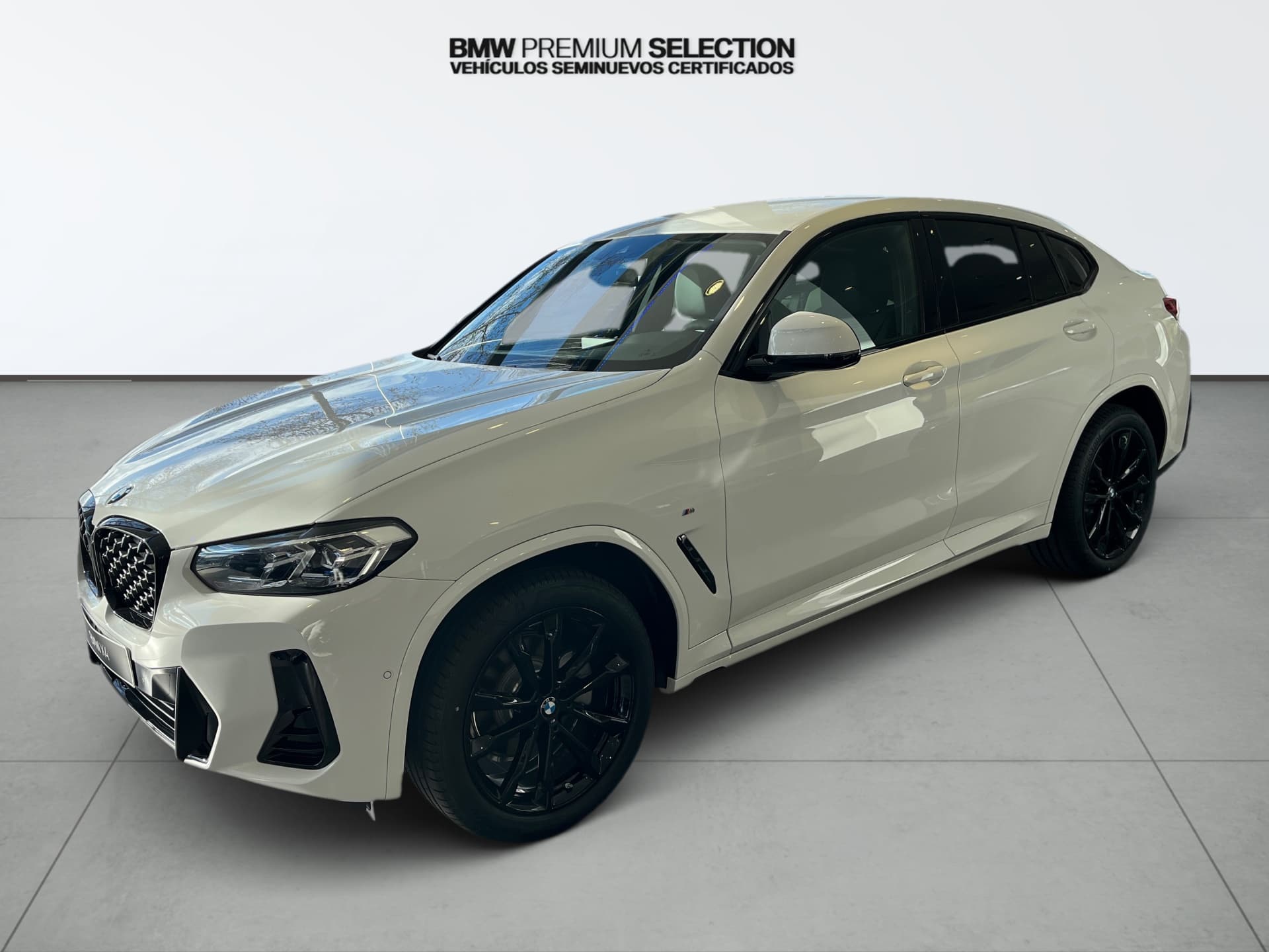 Imagen del coche bmw x4 X4 xDrive 20d xLine 2025