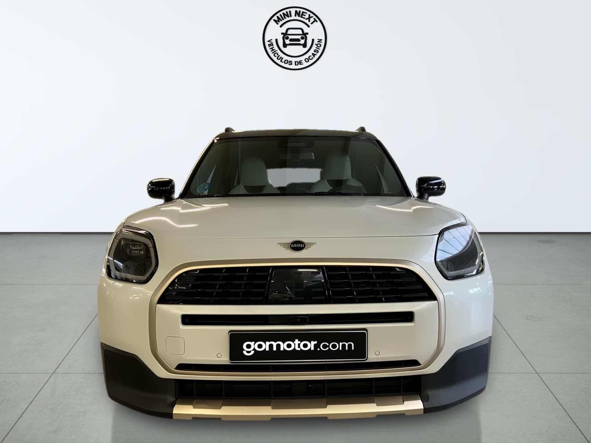 Imagen 6 del mini countryman