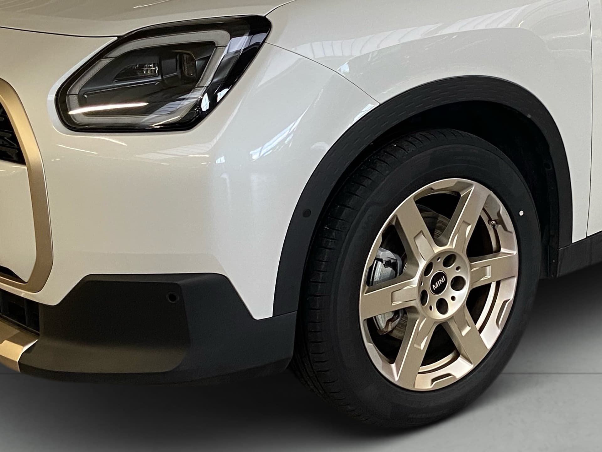 Imagen 7 del mini countryman