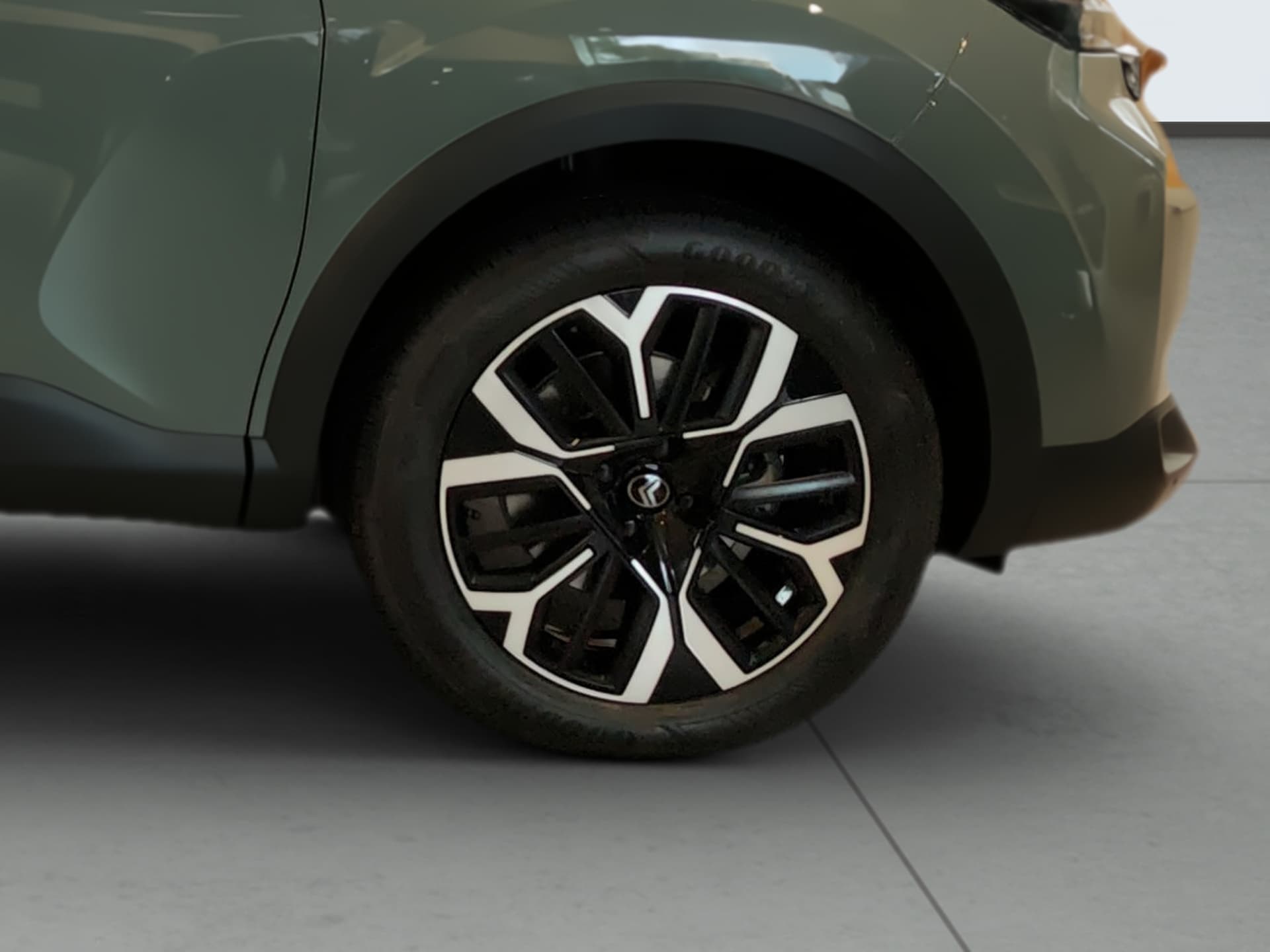 Imagen 8 del citroen c4