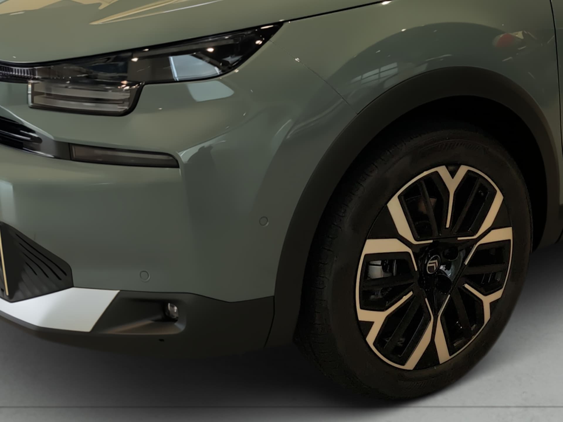 Imagen 7 del citroen c4