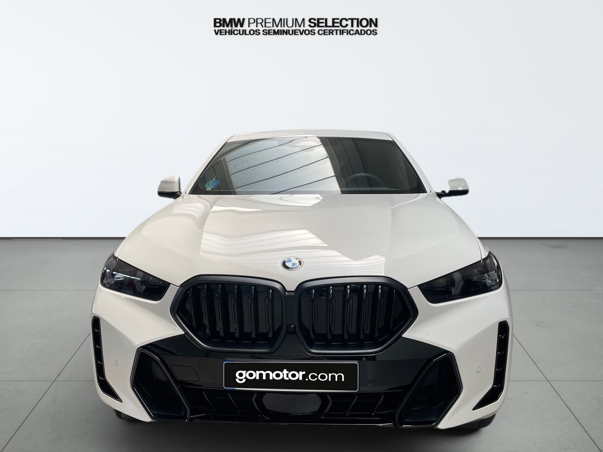 Imagen 6 del bmw x6