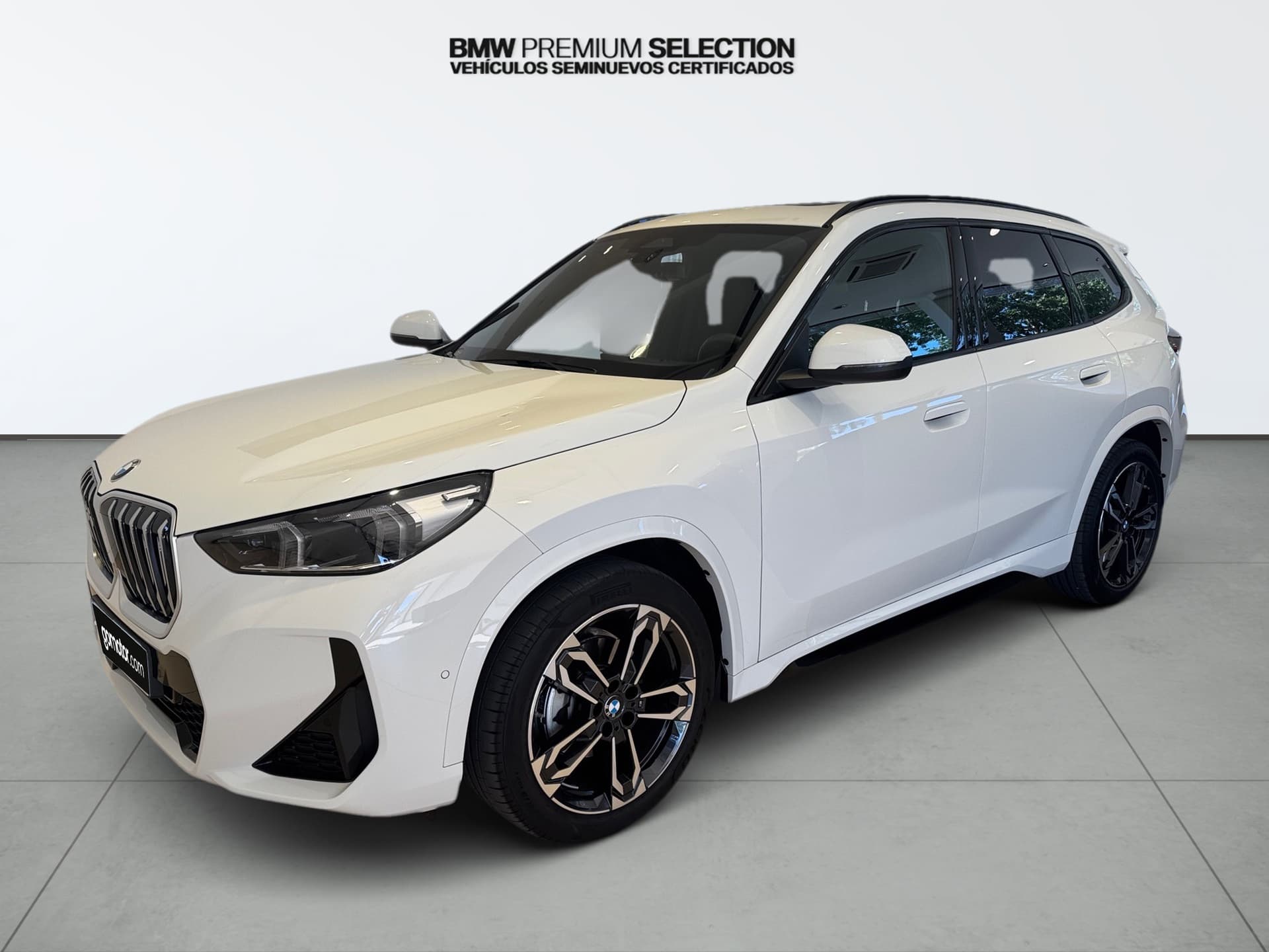 Coche bmw x1 en venta