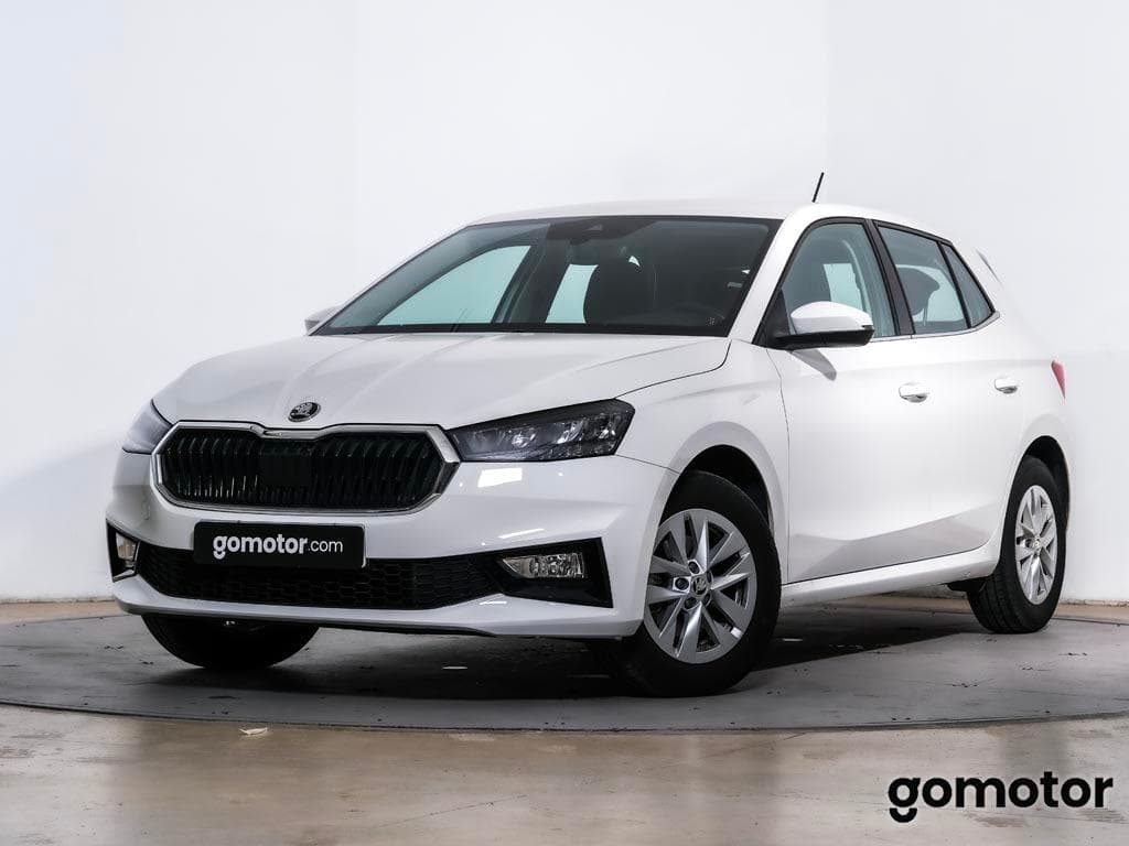 Coche skoda fabia en venta