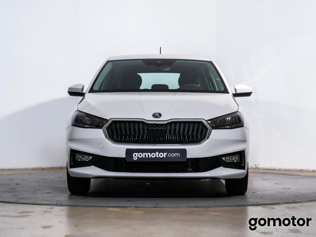 Imagen 6 del skoda fabia