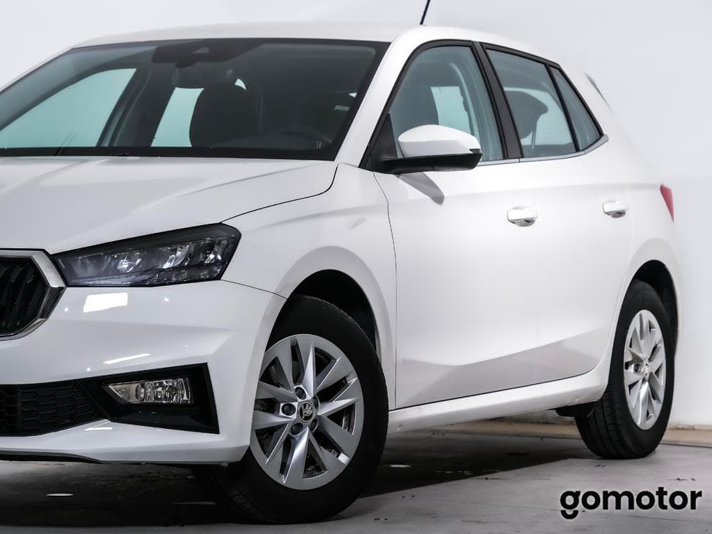 Imagen 8 del skoda fabia