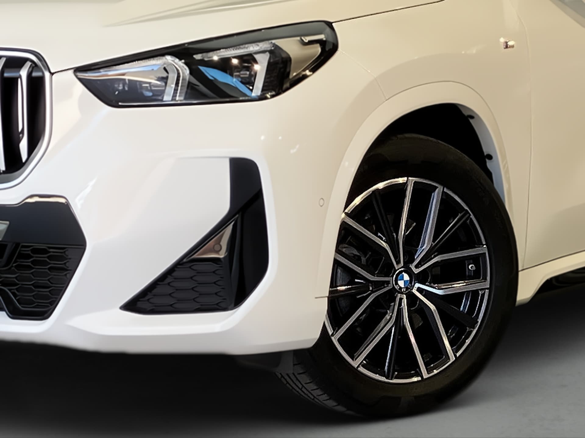 Imagen 7 del bmw x1