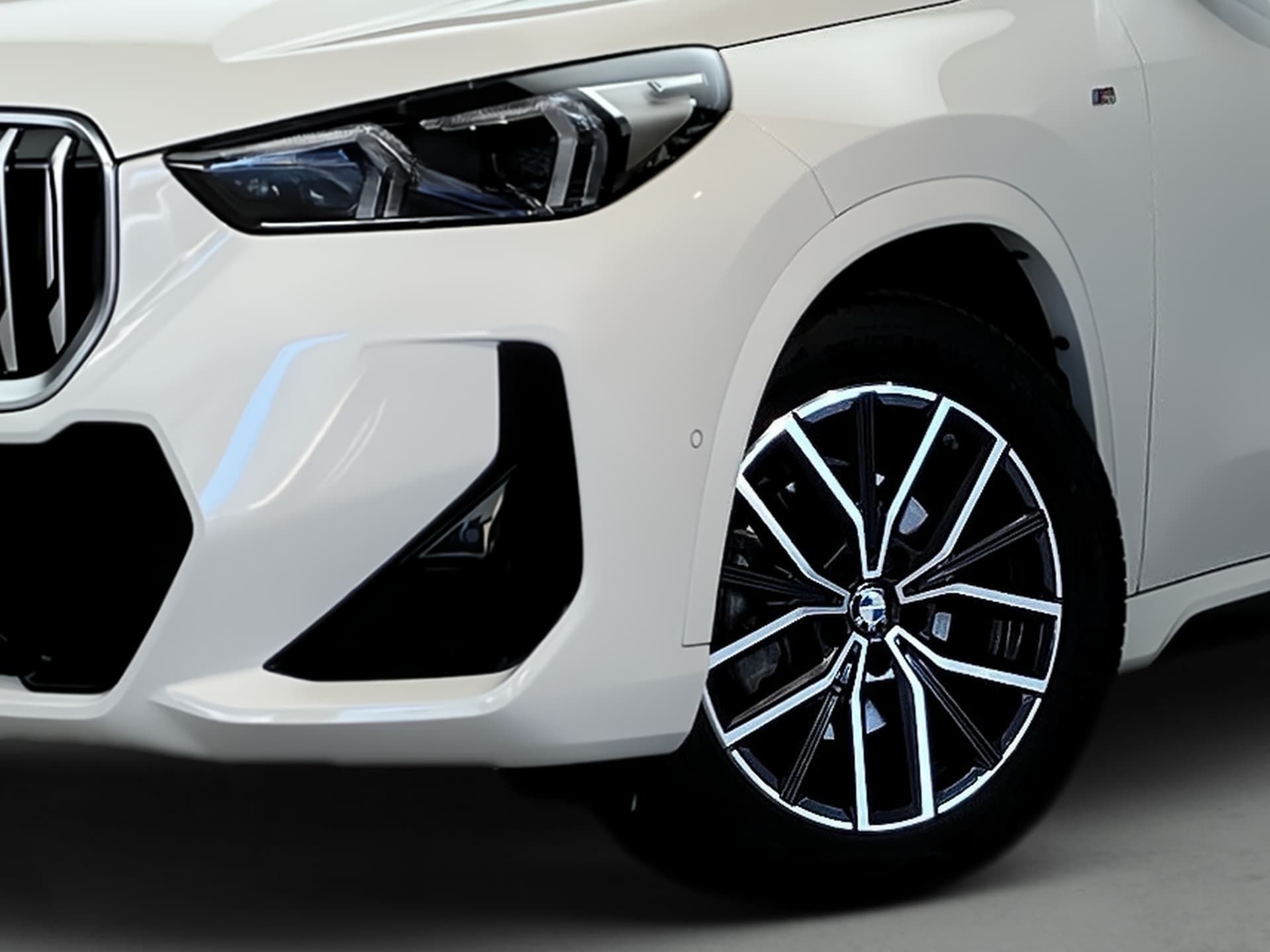 Imagen 7 del bmw x1