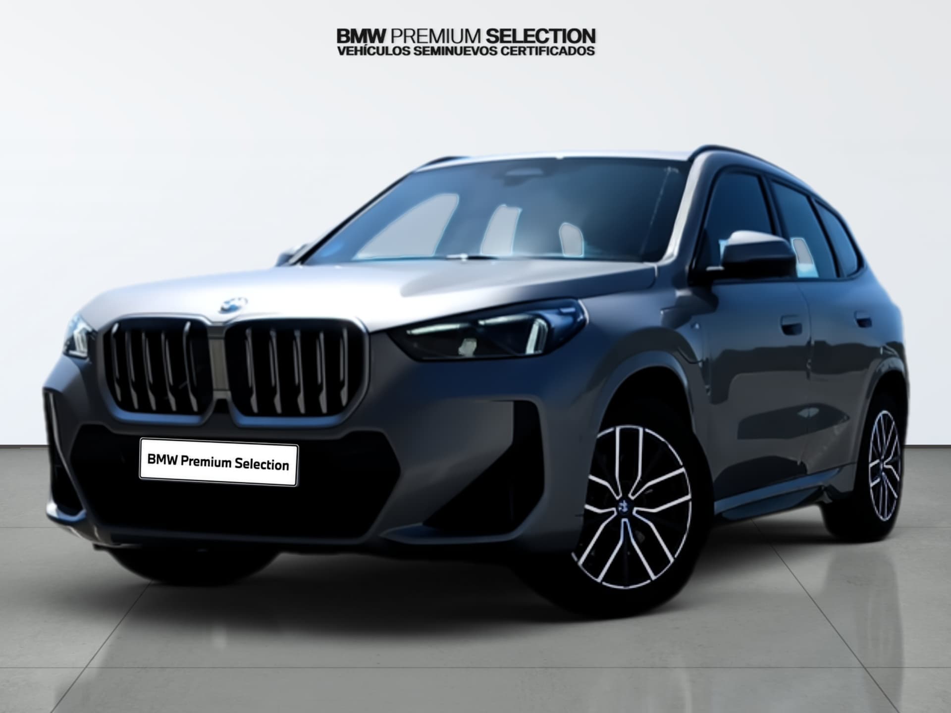 Coche bmw x1 en venta