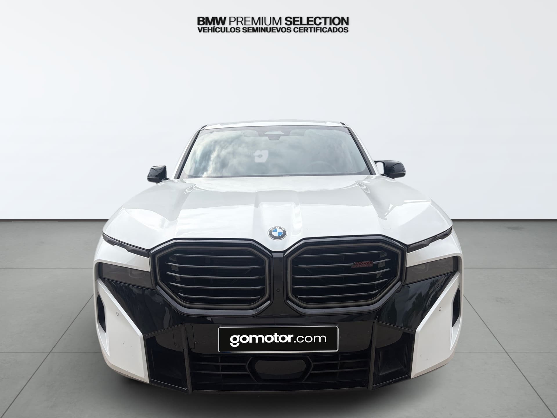 Imagen 6 del bmw xm