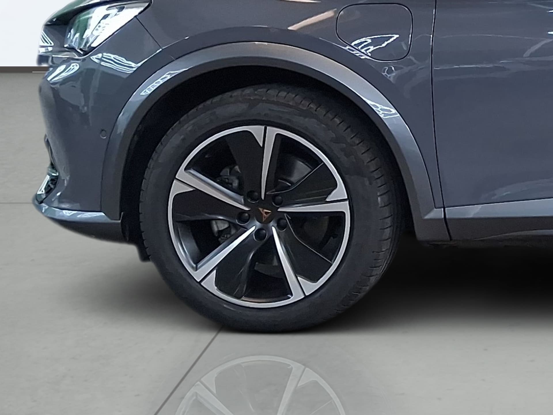 Imagen 8 del cupra formentor