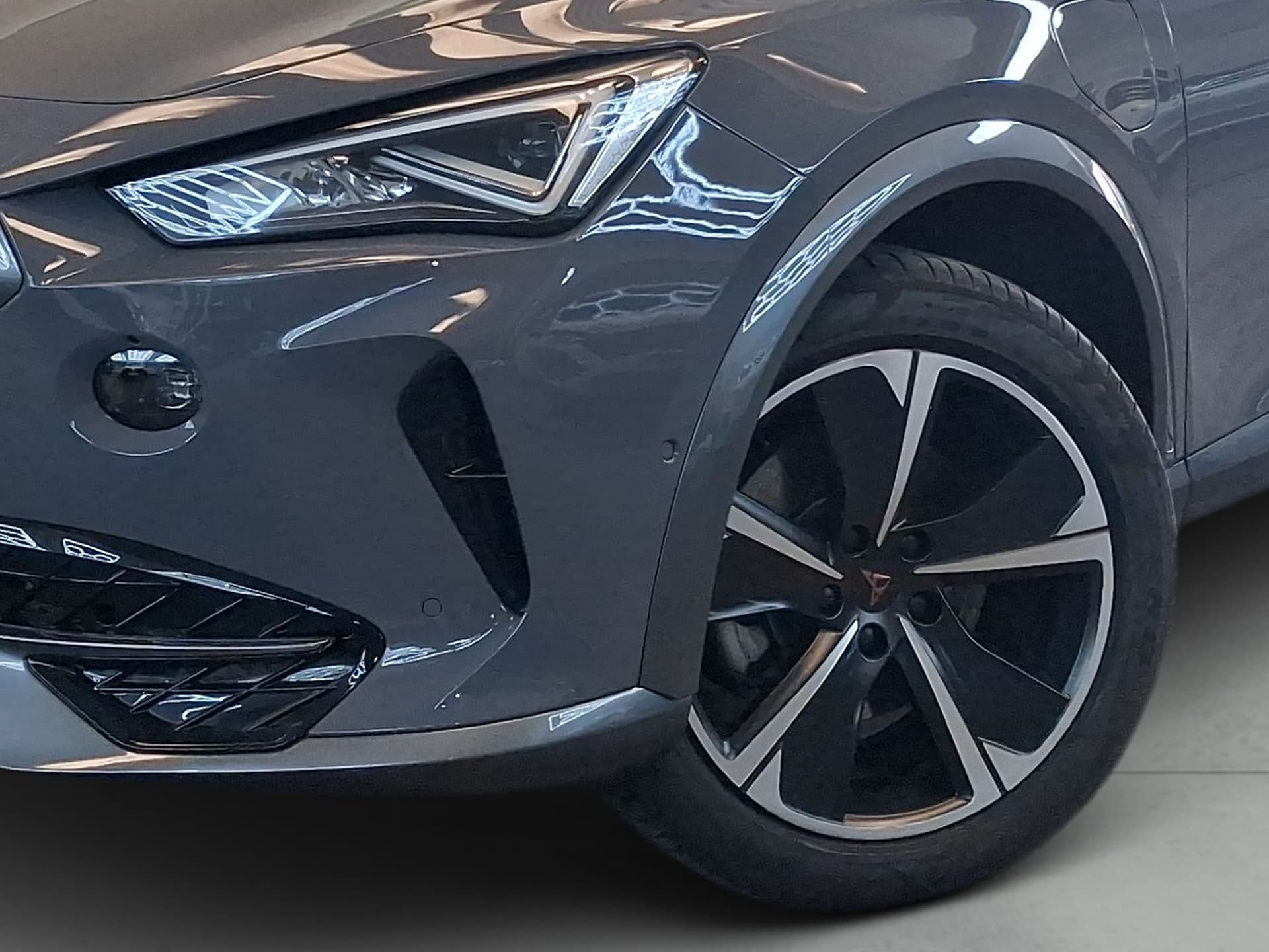 Imagen 7 del cupra formentor