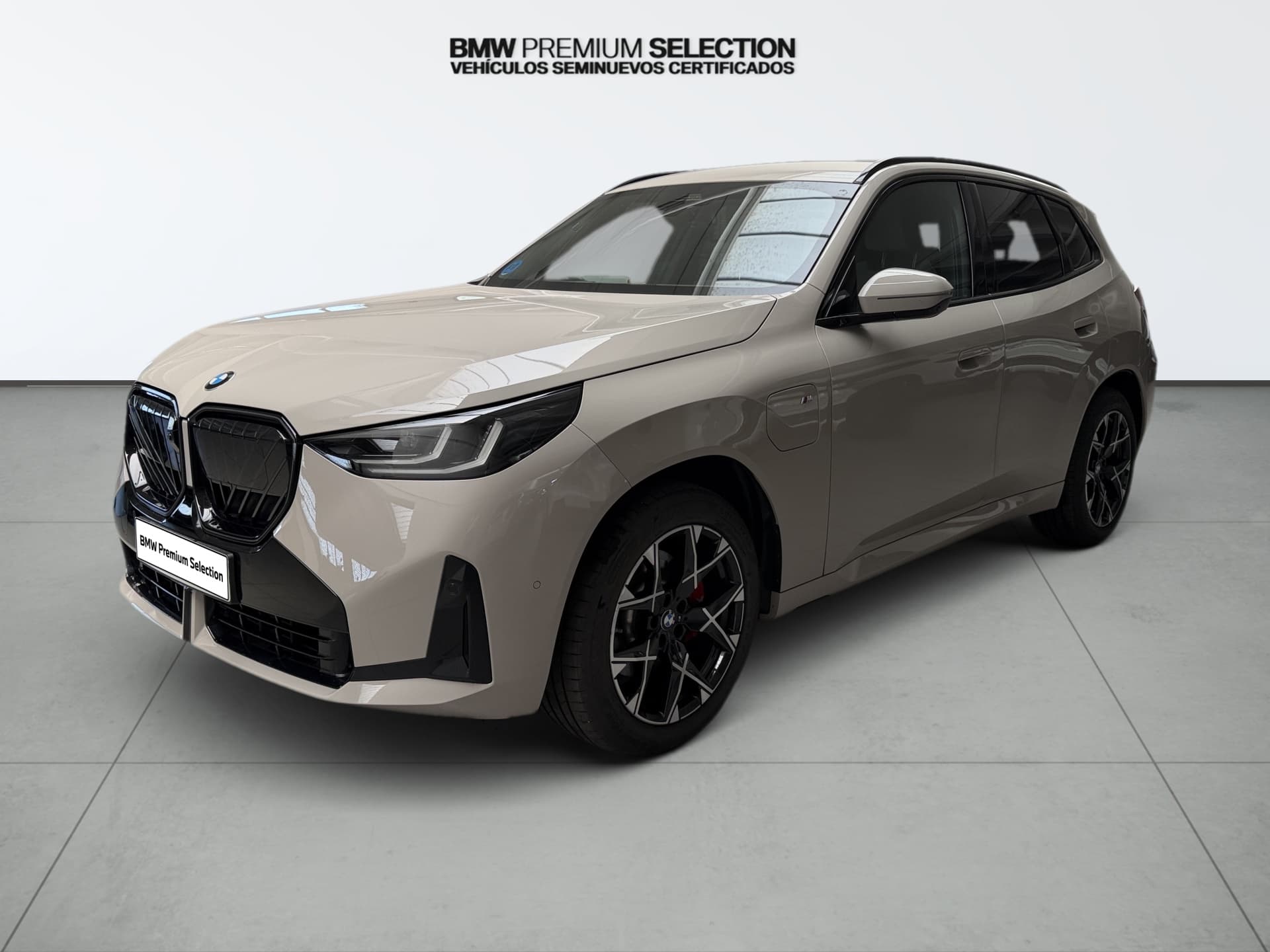Coche bmw x3 en venta