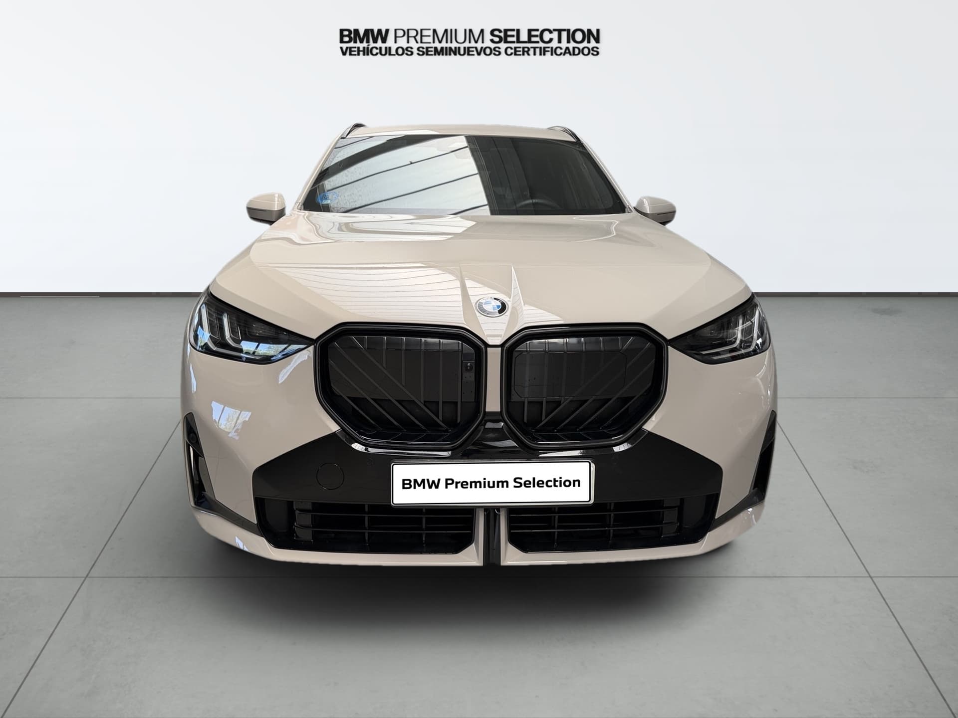 Imagen 6 del bmw x3