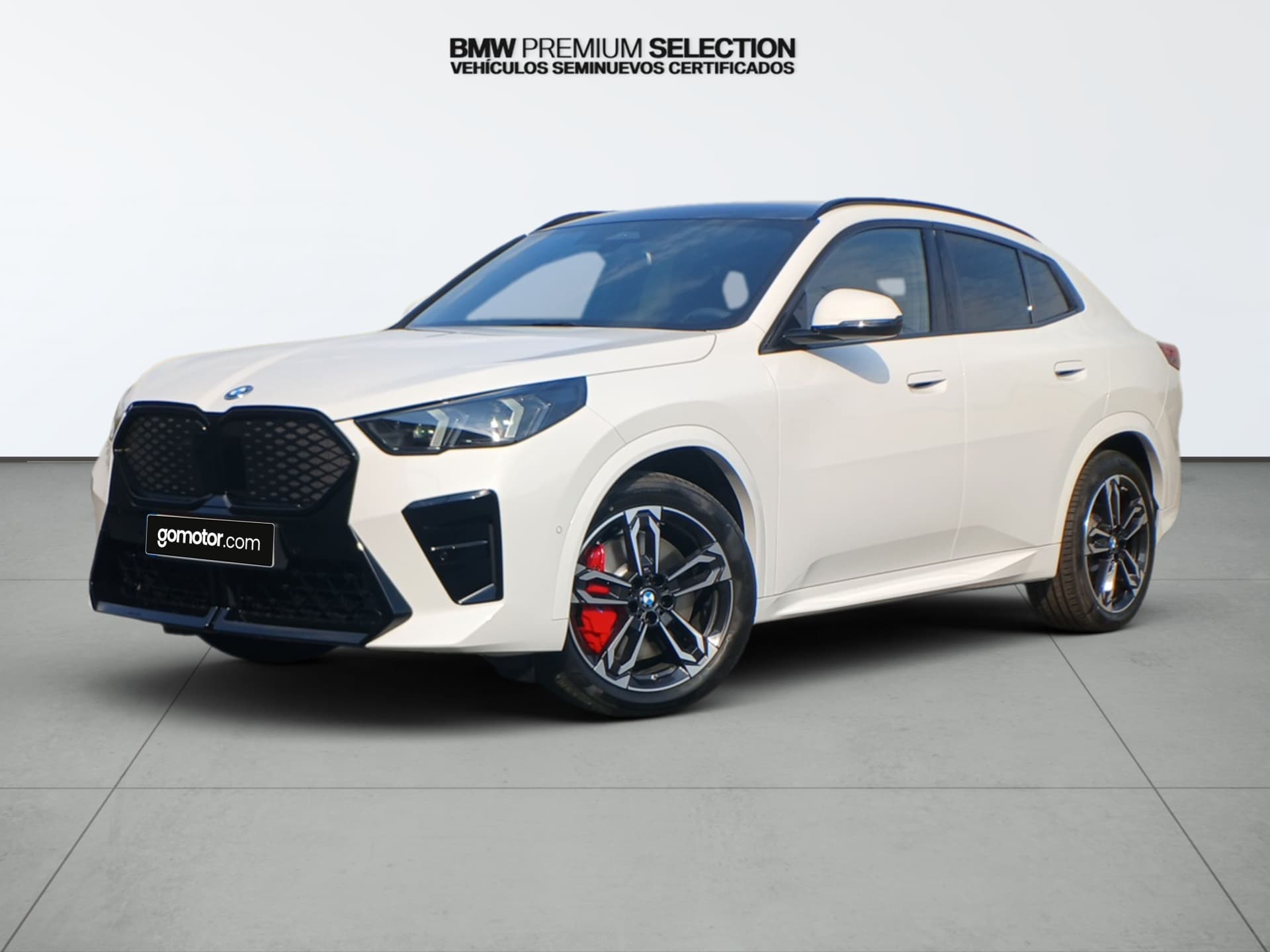 Imagen del coche bmw x2 IX2 EDRIVE20 2026