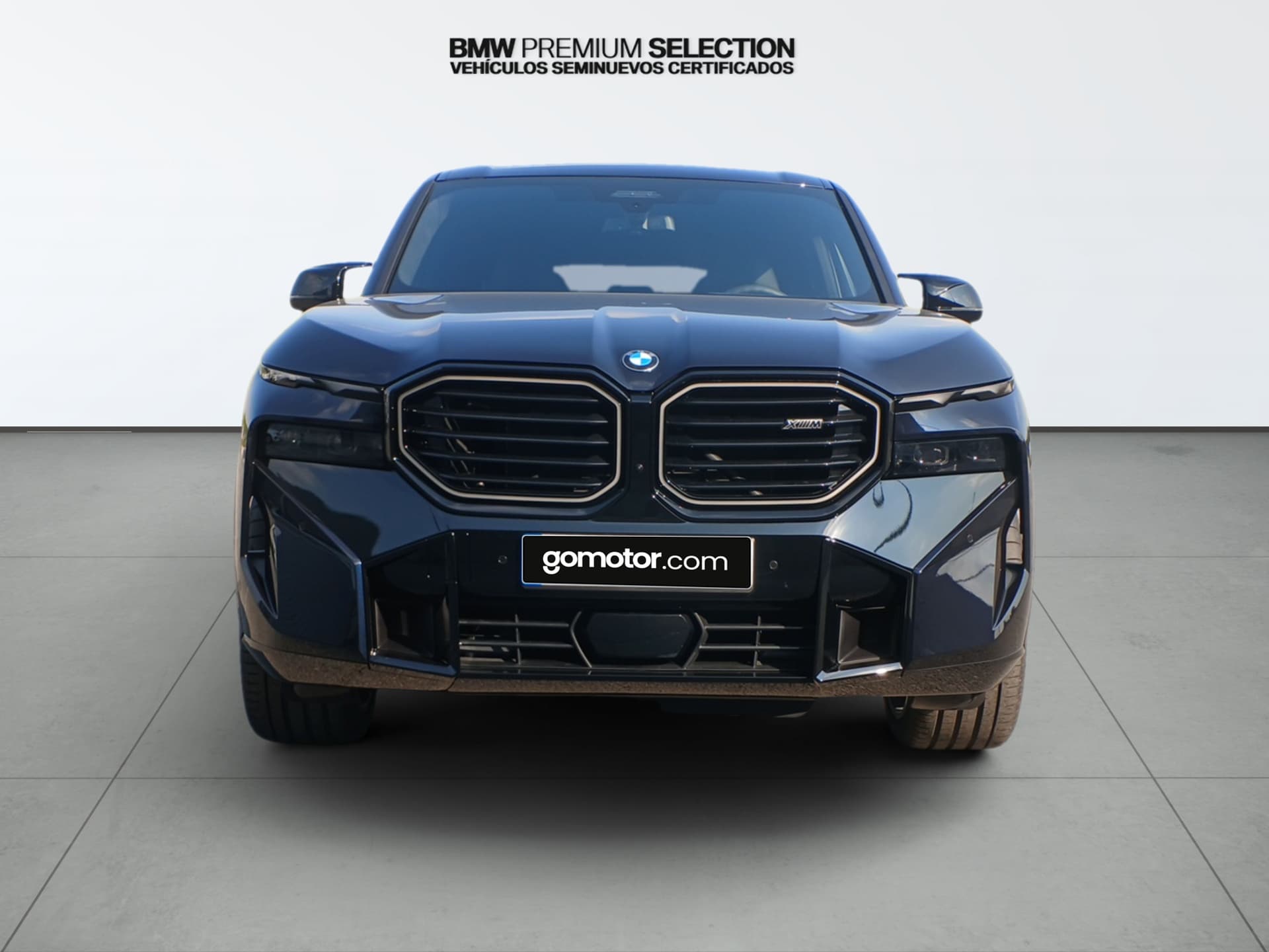 Imagen 6 del bmw xm