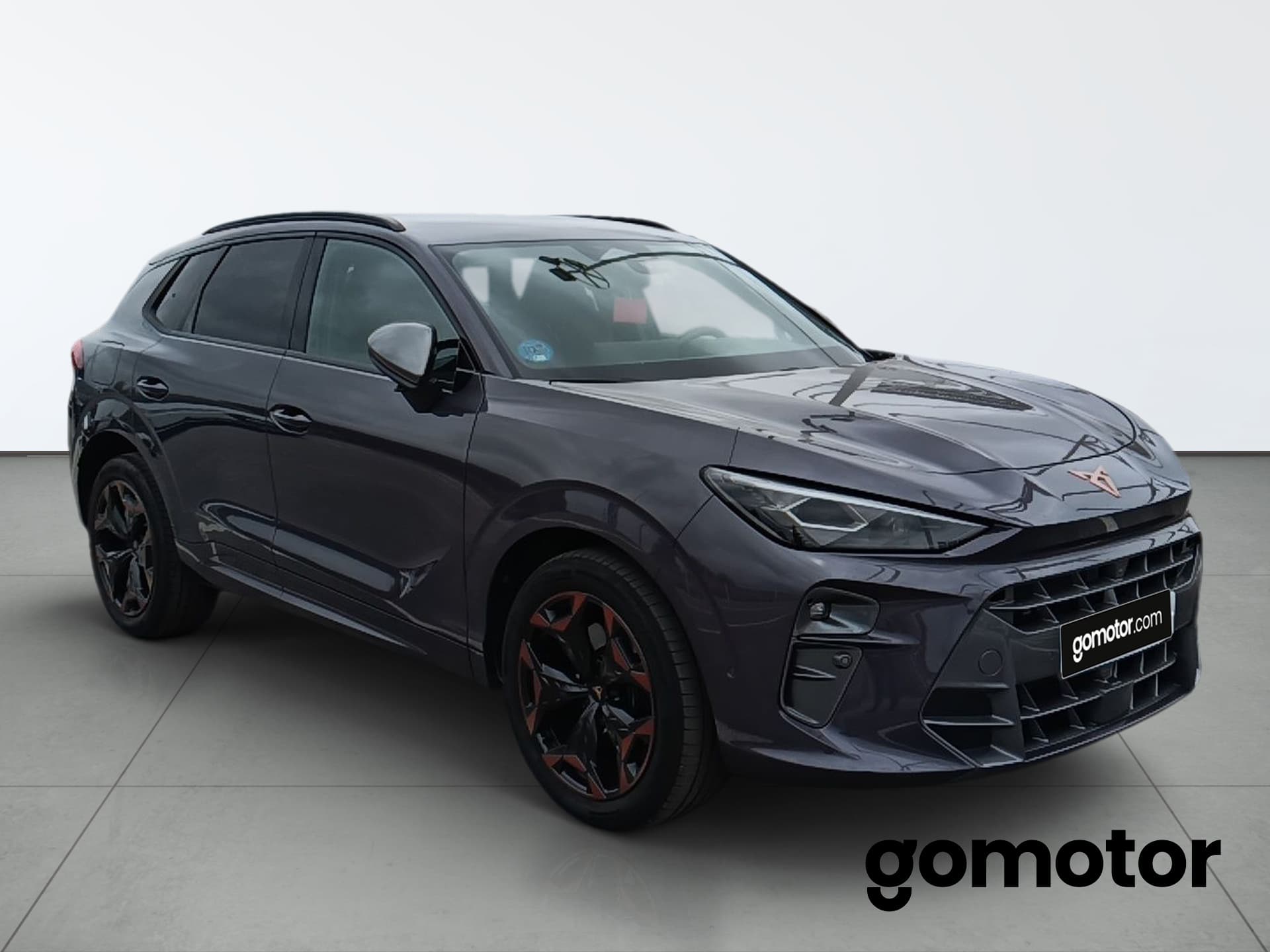 Imagen 4 del cupra terramar