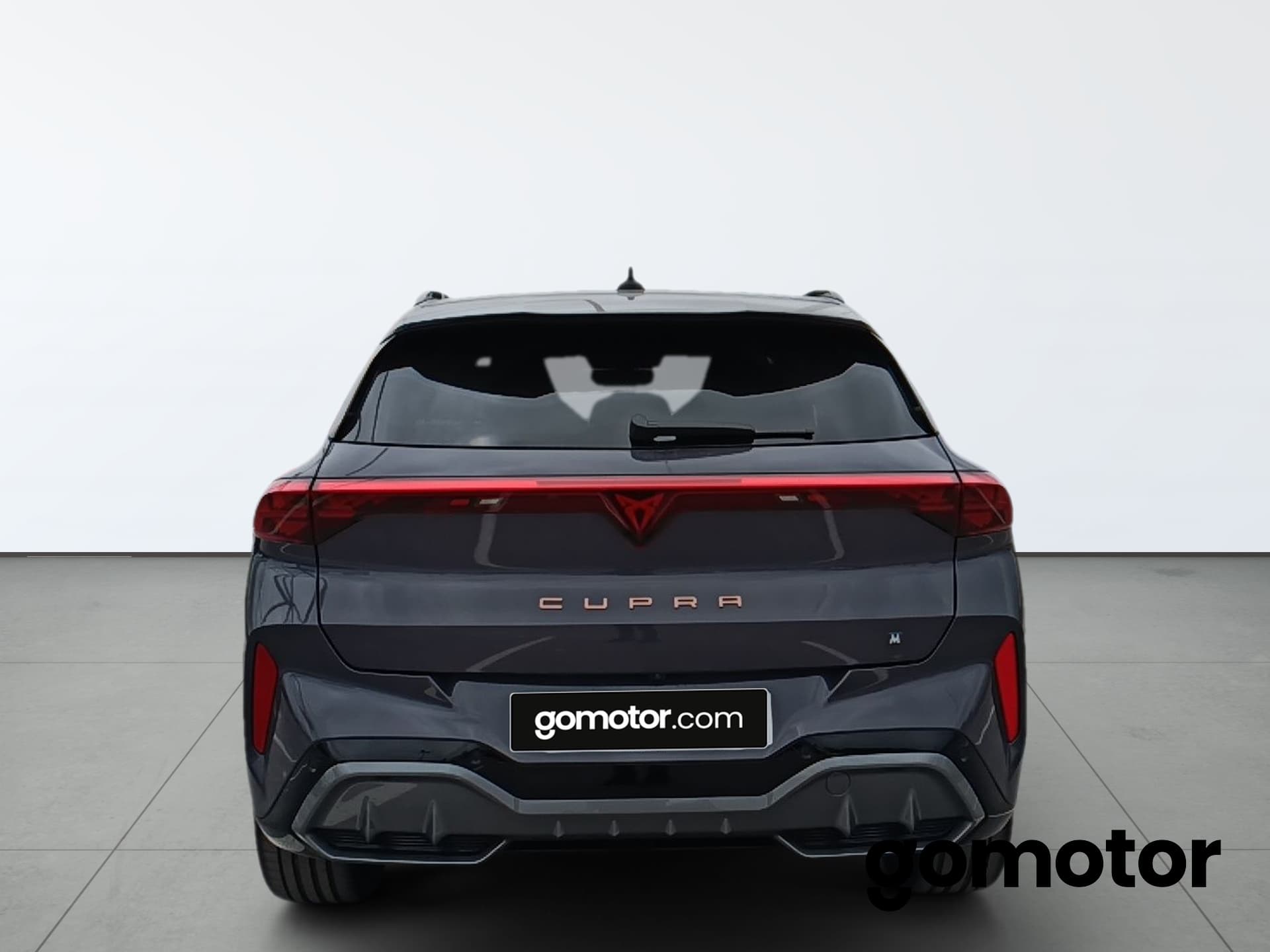 Imagen 5 del cupra terramar