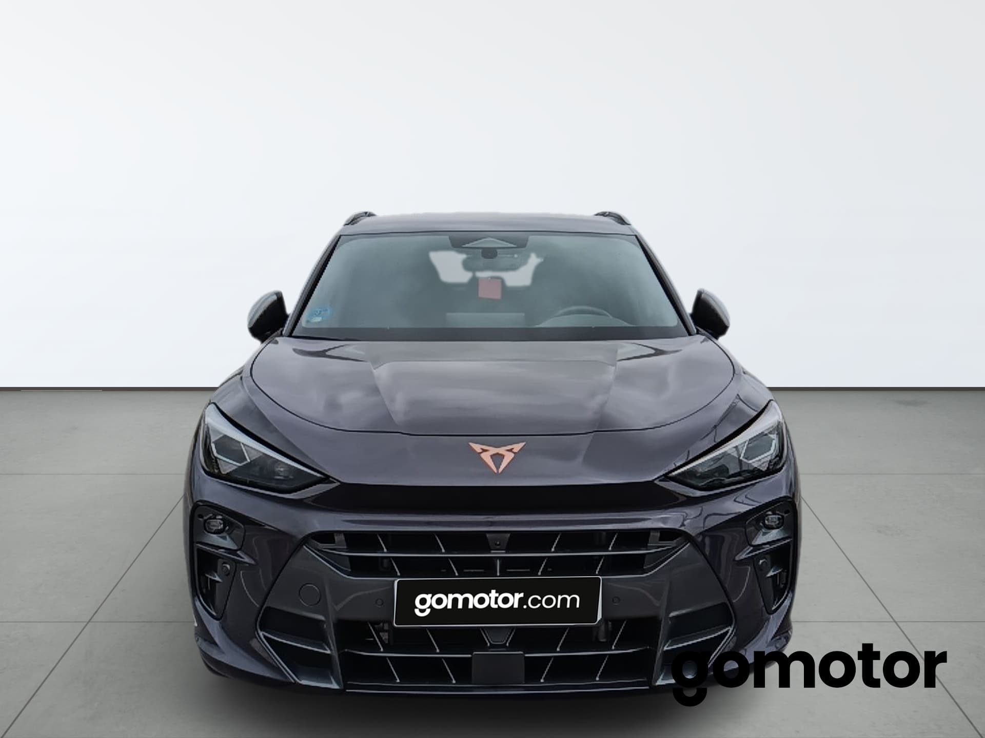 Imagen 6 del cupra terramar