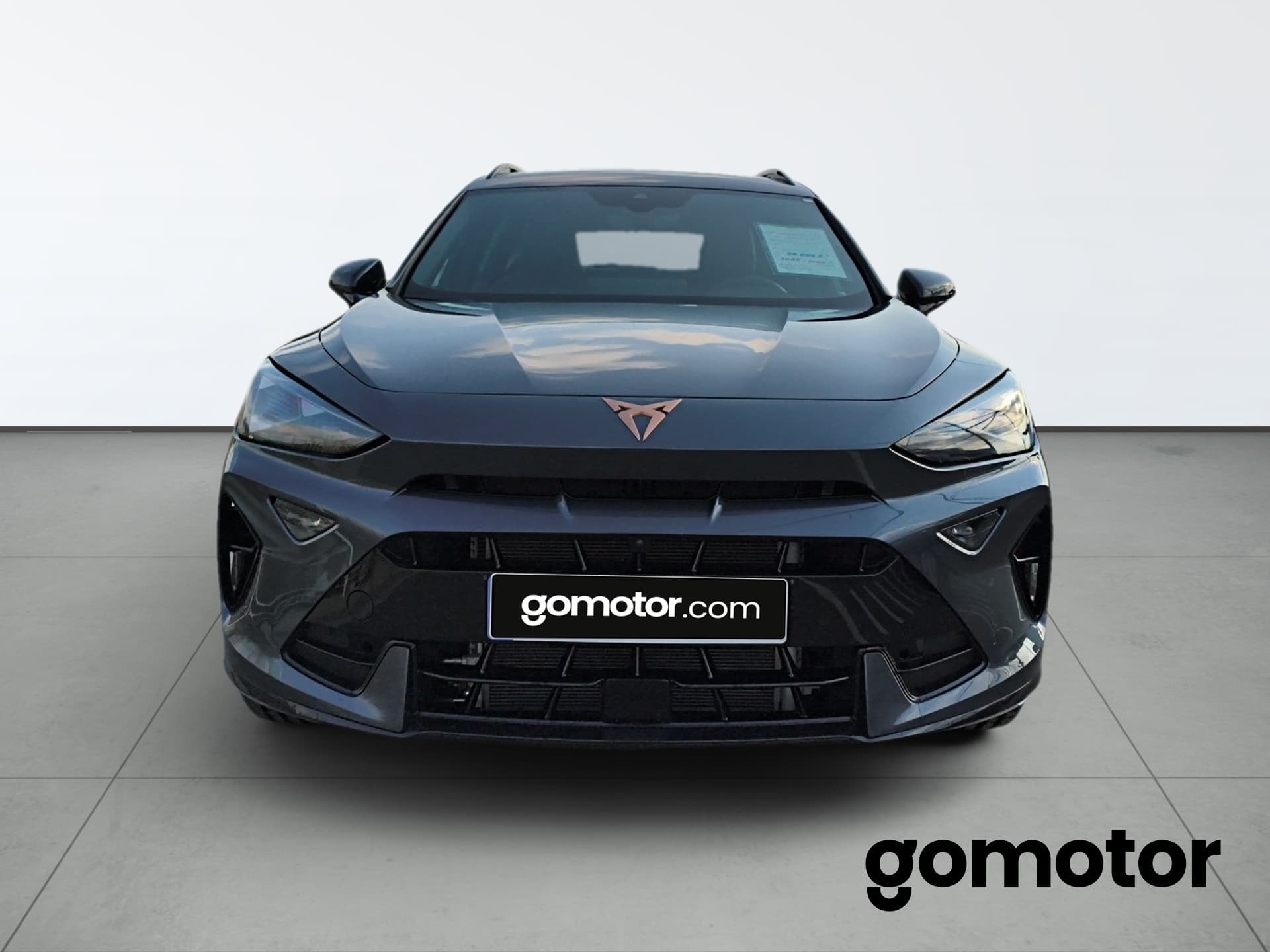 Imagen 6 del cupra formentor