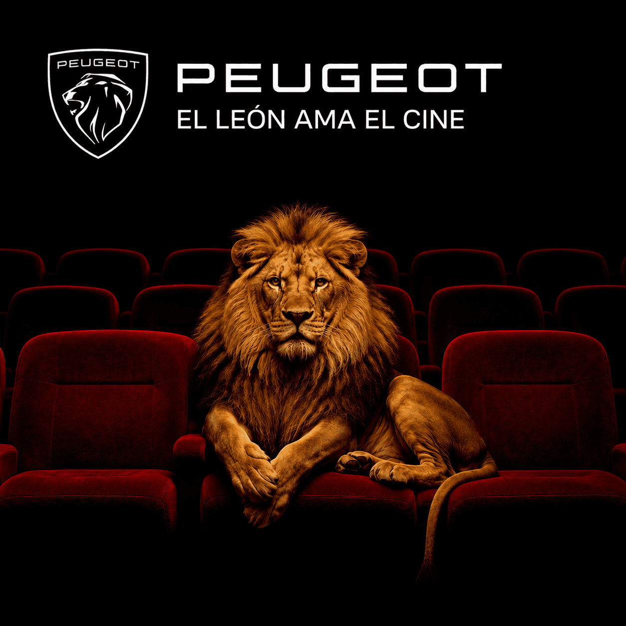 ¡Peugeot Joaquin Oliva te invita al cine!