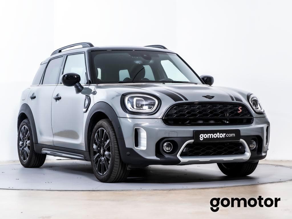 Imagen 4 del mini countryman