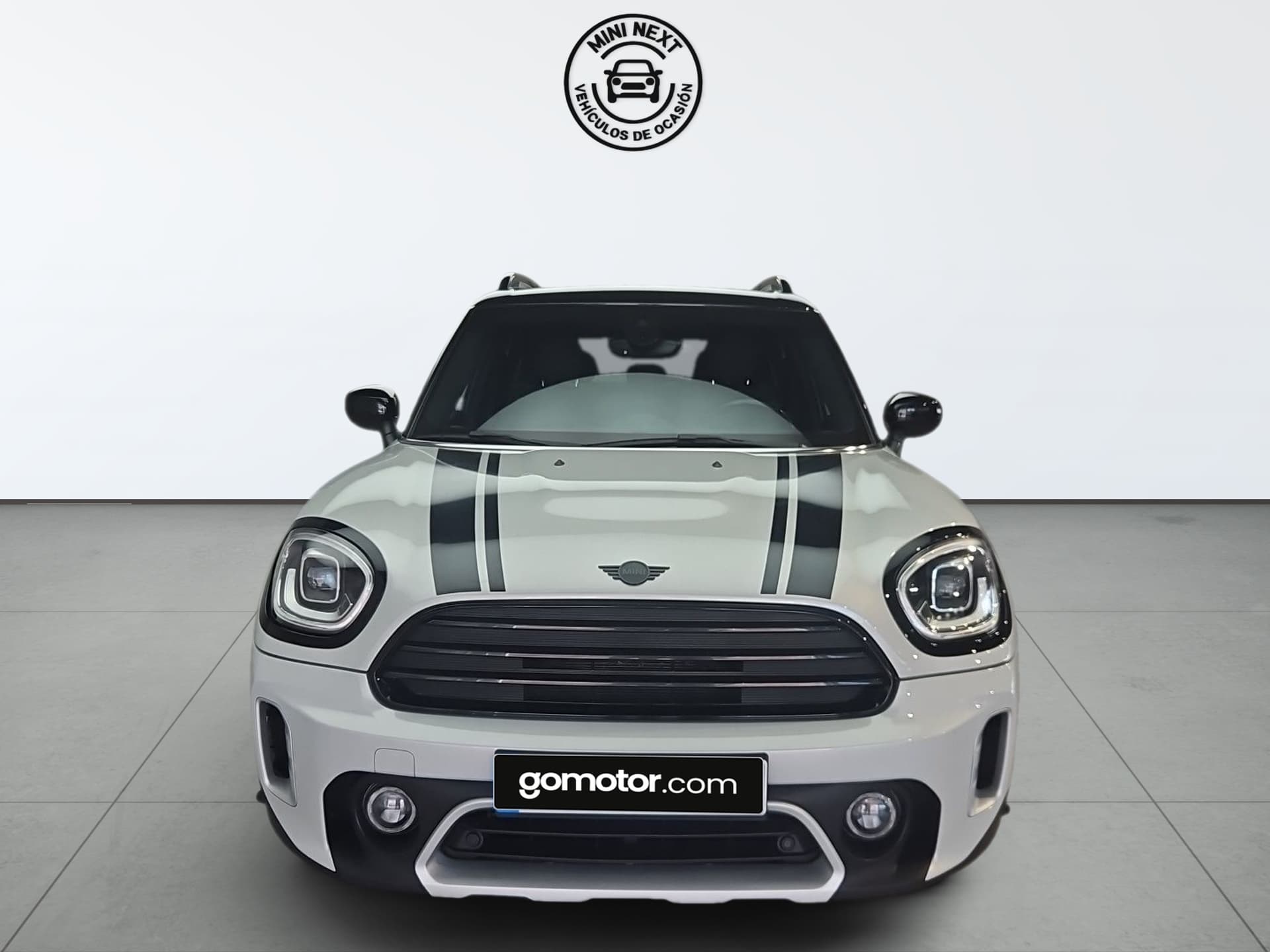 Imagen 6 del mini countryman