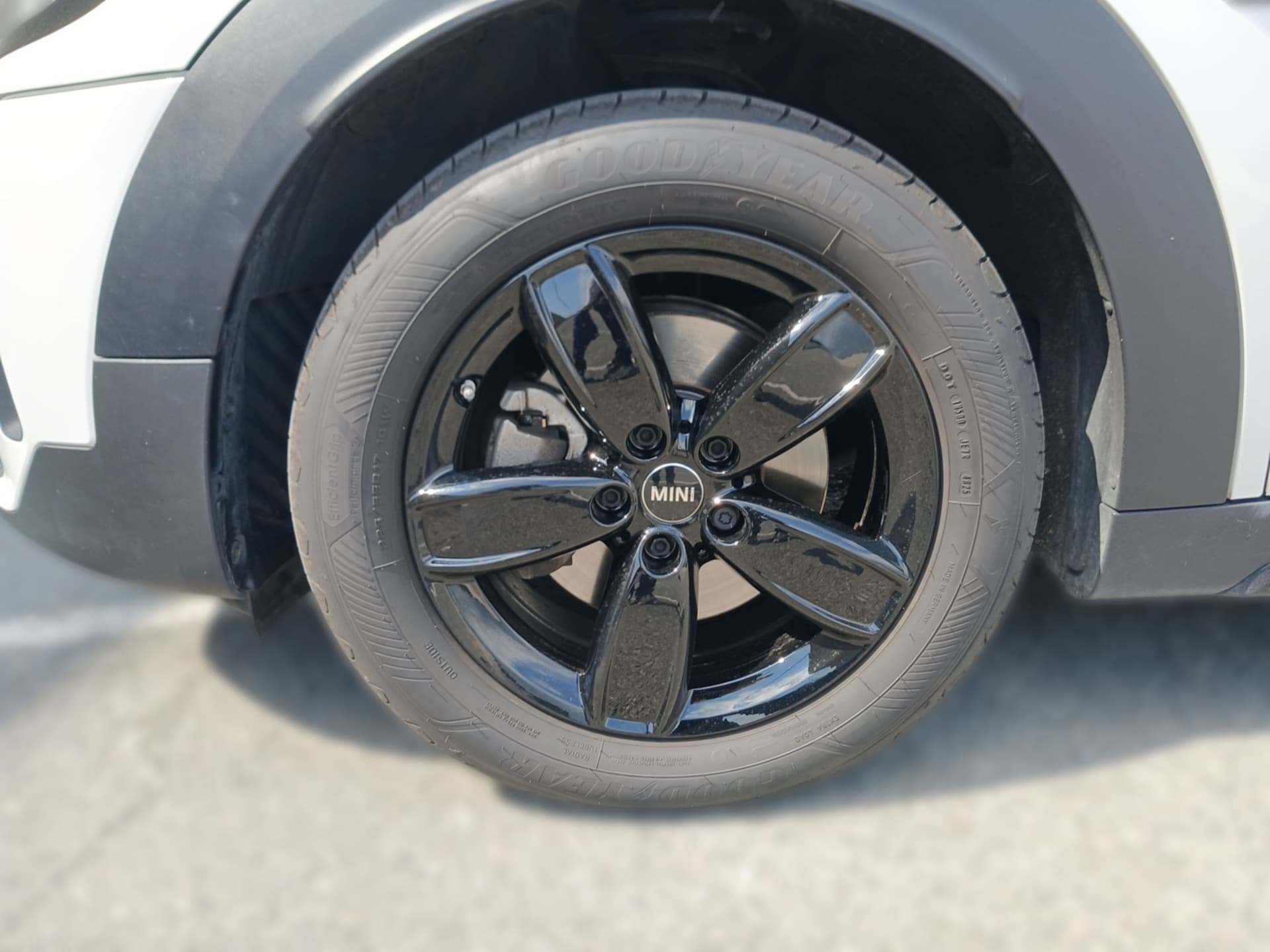 Imagen 8 del mini