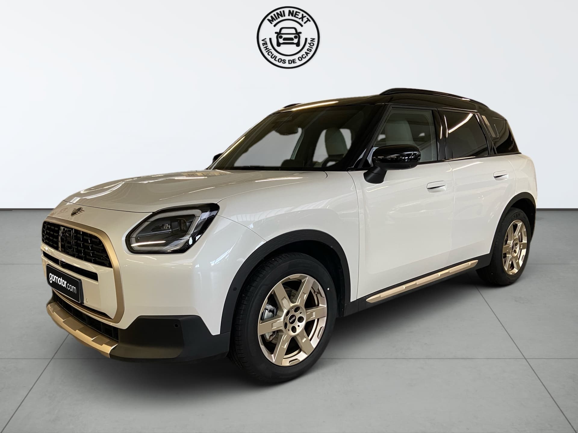 Imagen del coche mini countryman