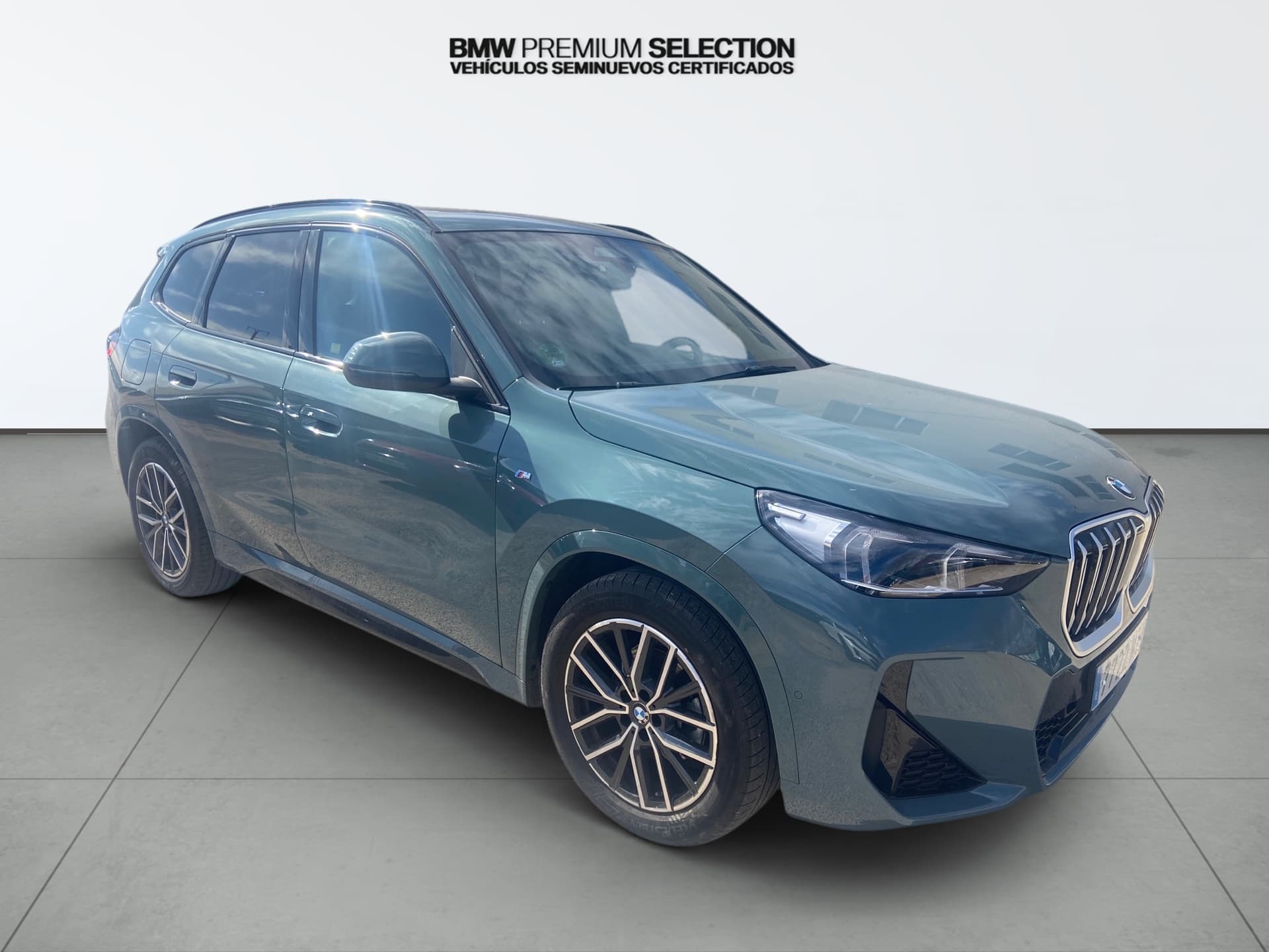 Imagen 4 del bmw x1