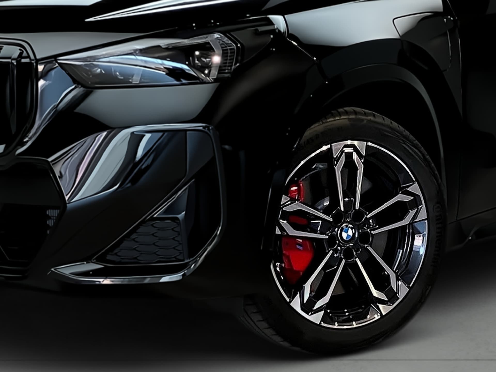 Imagen 7 del bmw x1