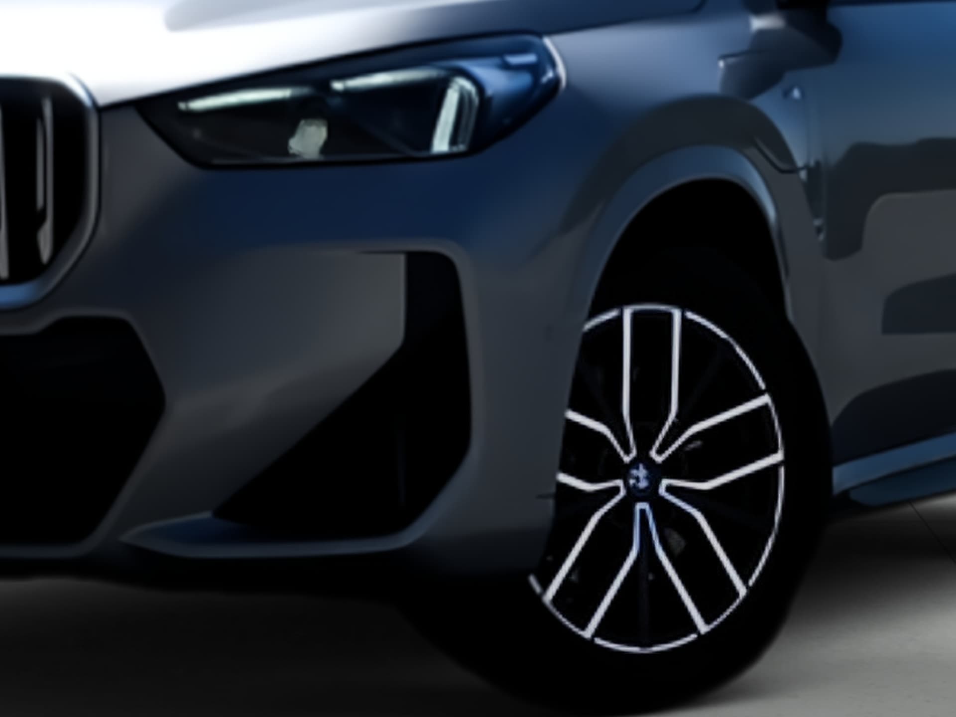 Imagen 7 del bmw x1
