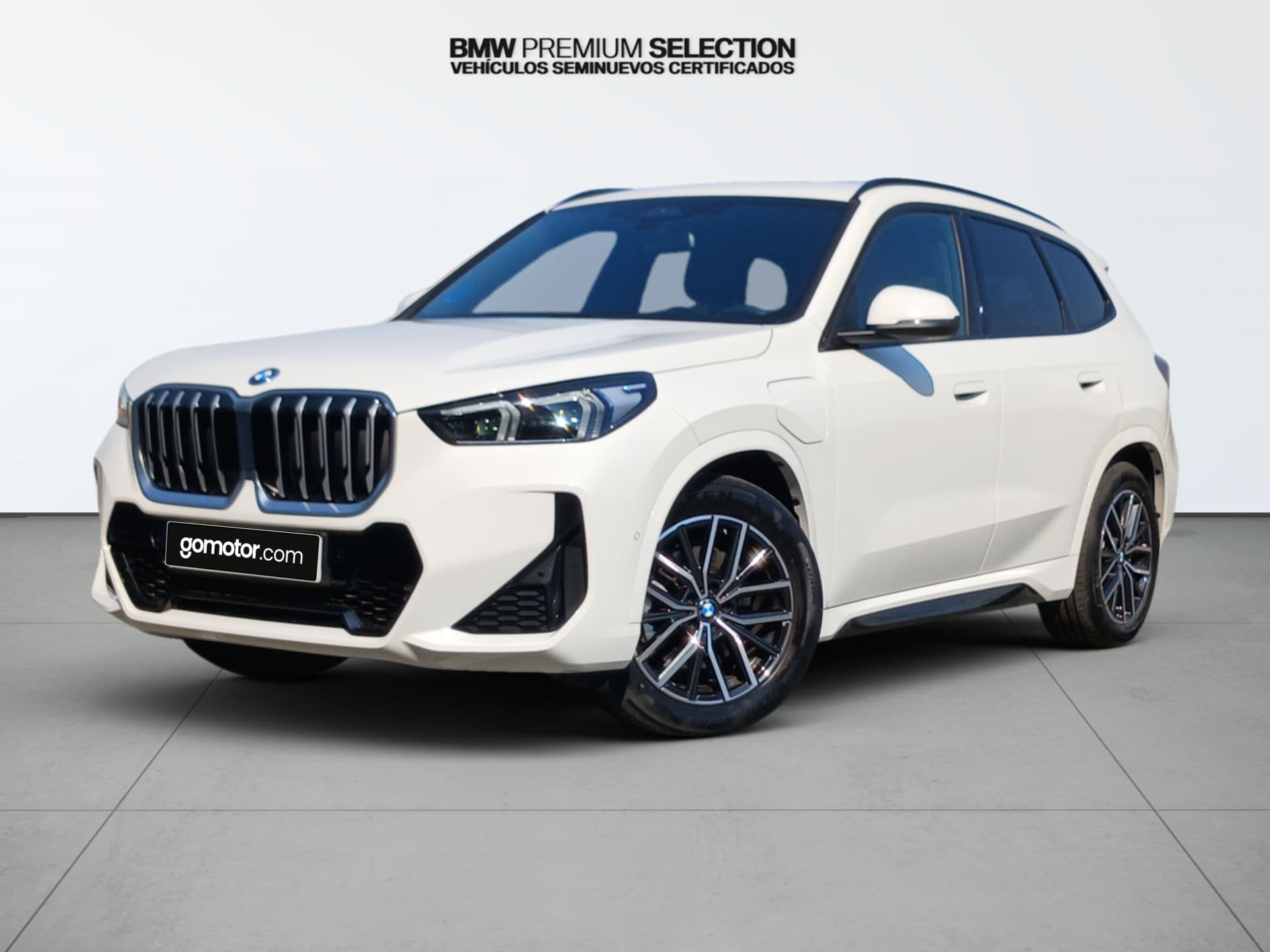 Coche bmw x1 en venta