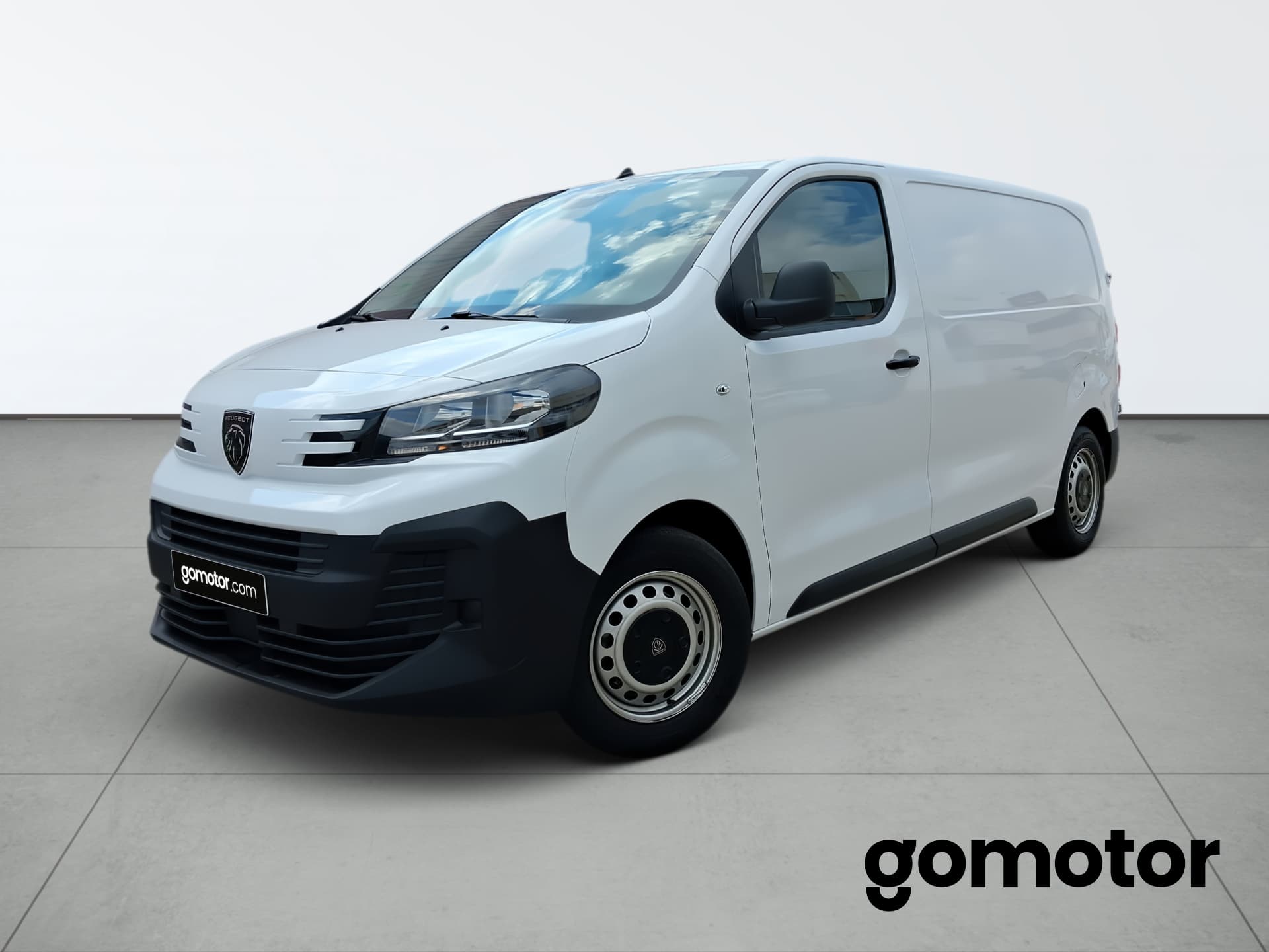Coche peugeot expert en venta