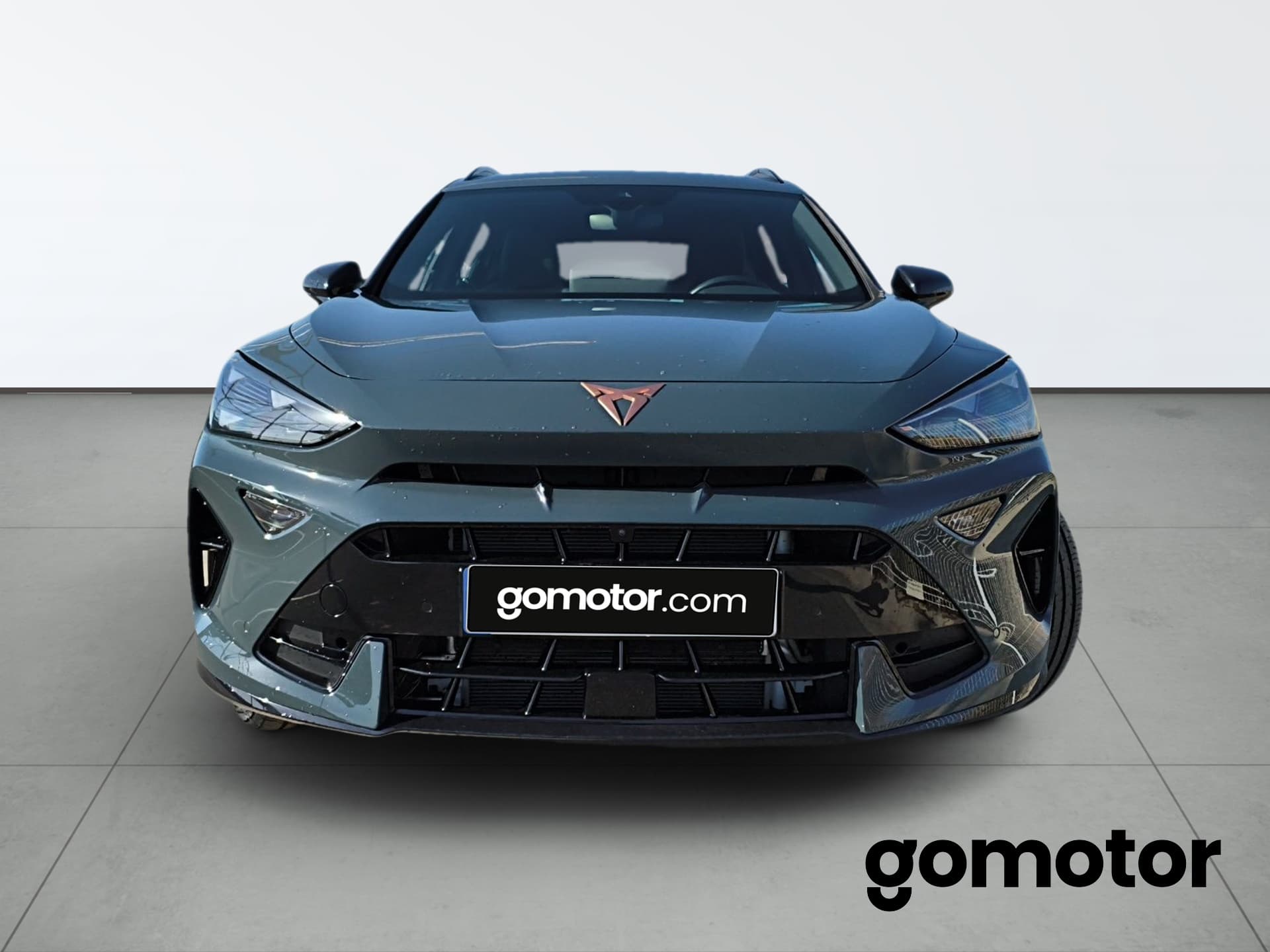 Imagen 6 del cupra formentor