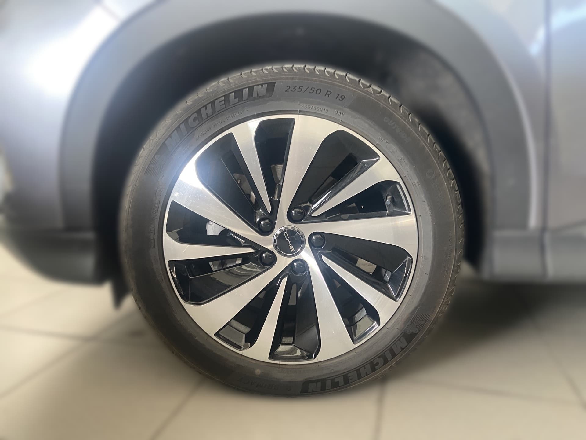 Imagen 8 del byd dolphin