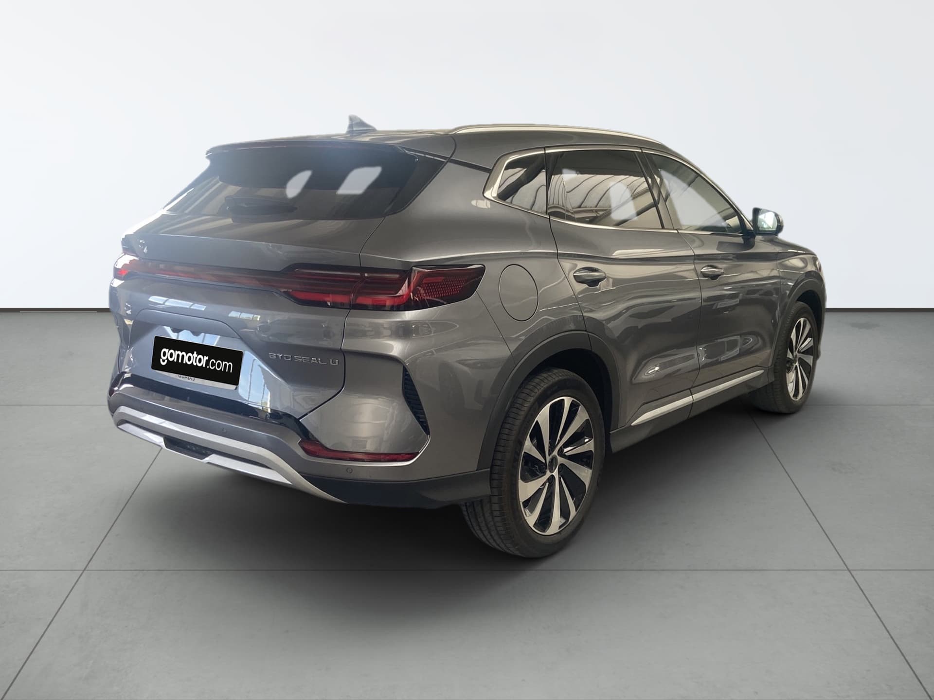 Imagen 2 del byd dolphin