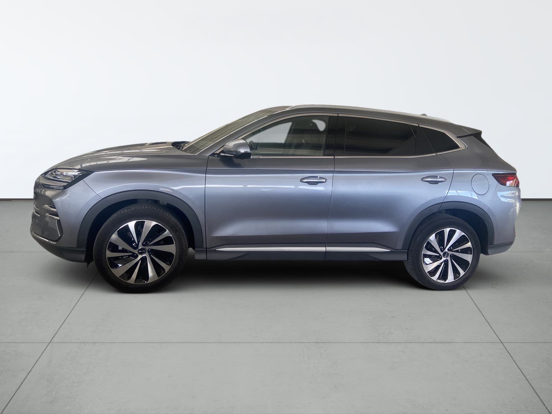 Imagen 3 del byd dolphin