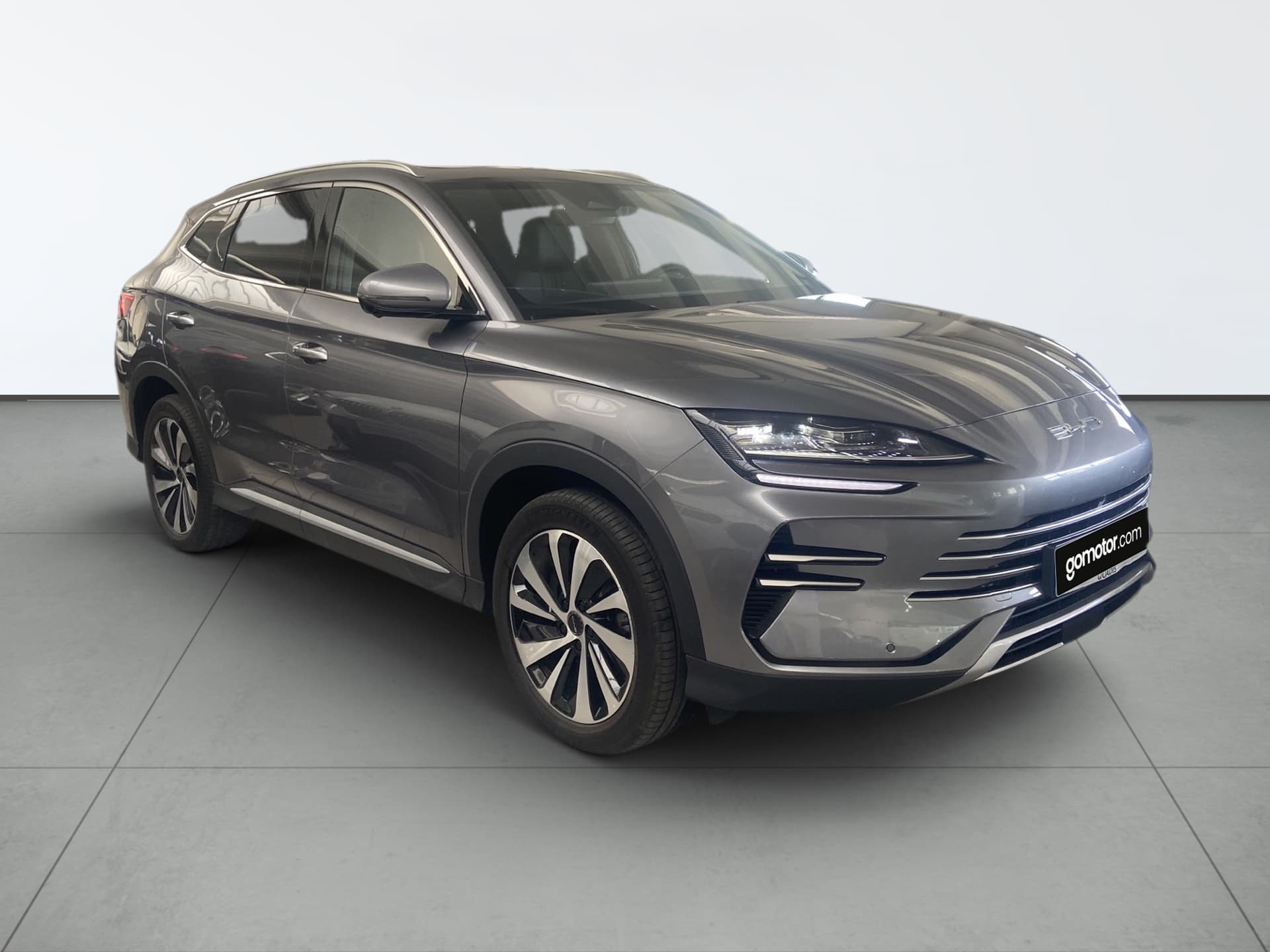 Imagen 4 del byd dolphin