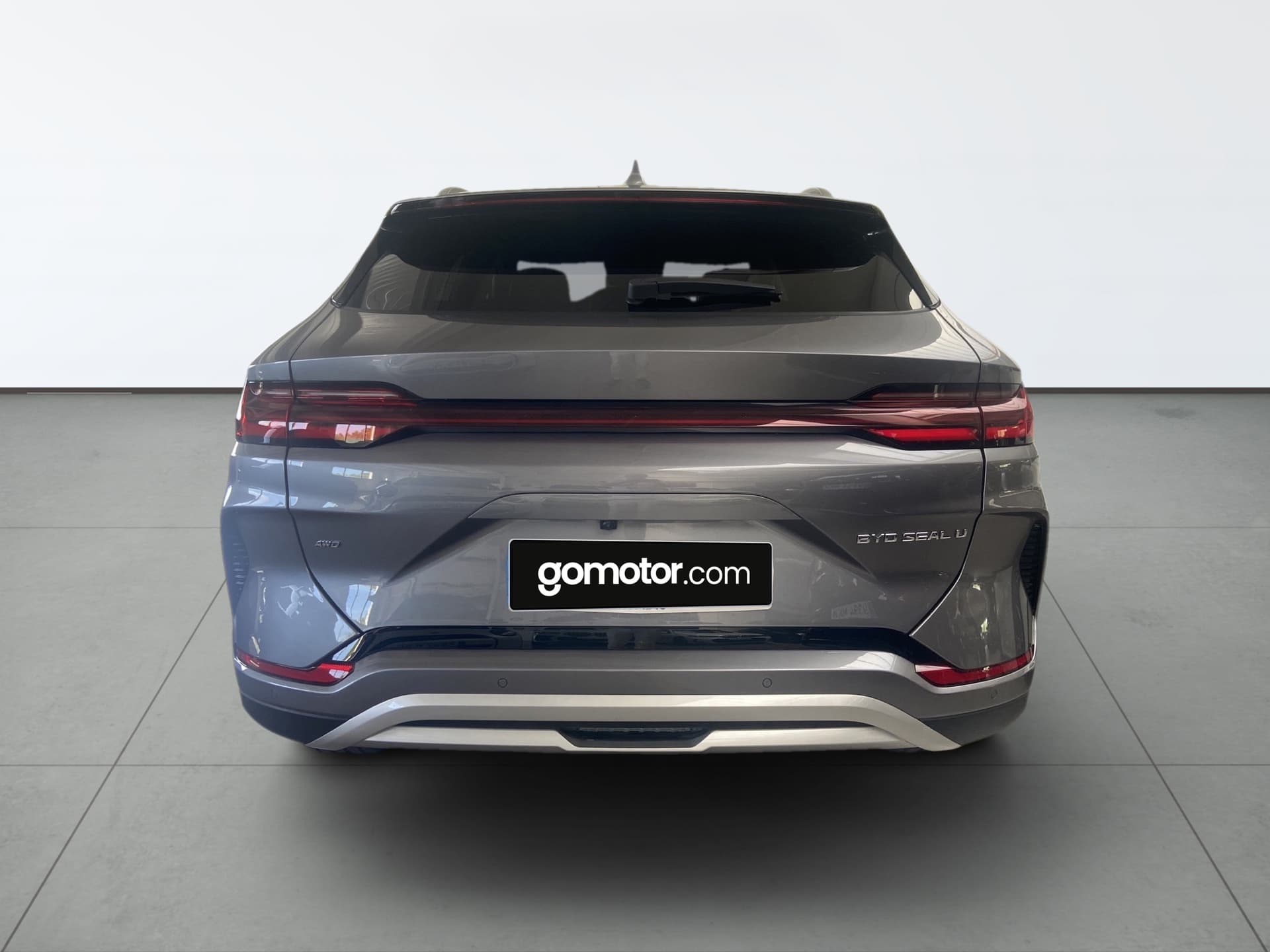 Imagen 5 del byd dolphin