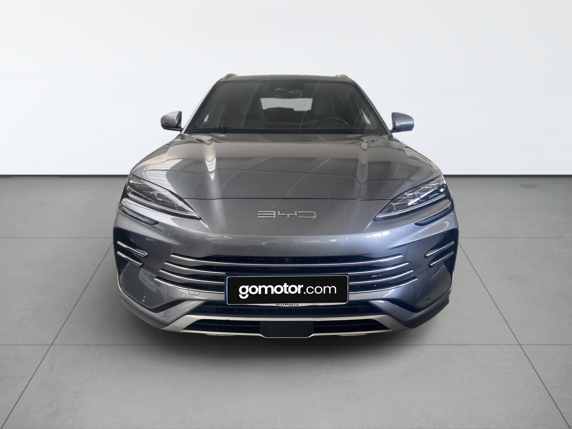 Imagen 6 del byd dolphin