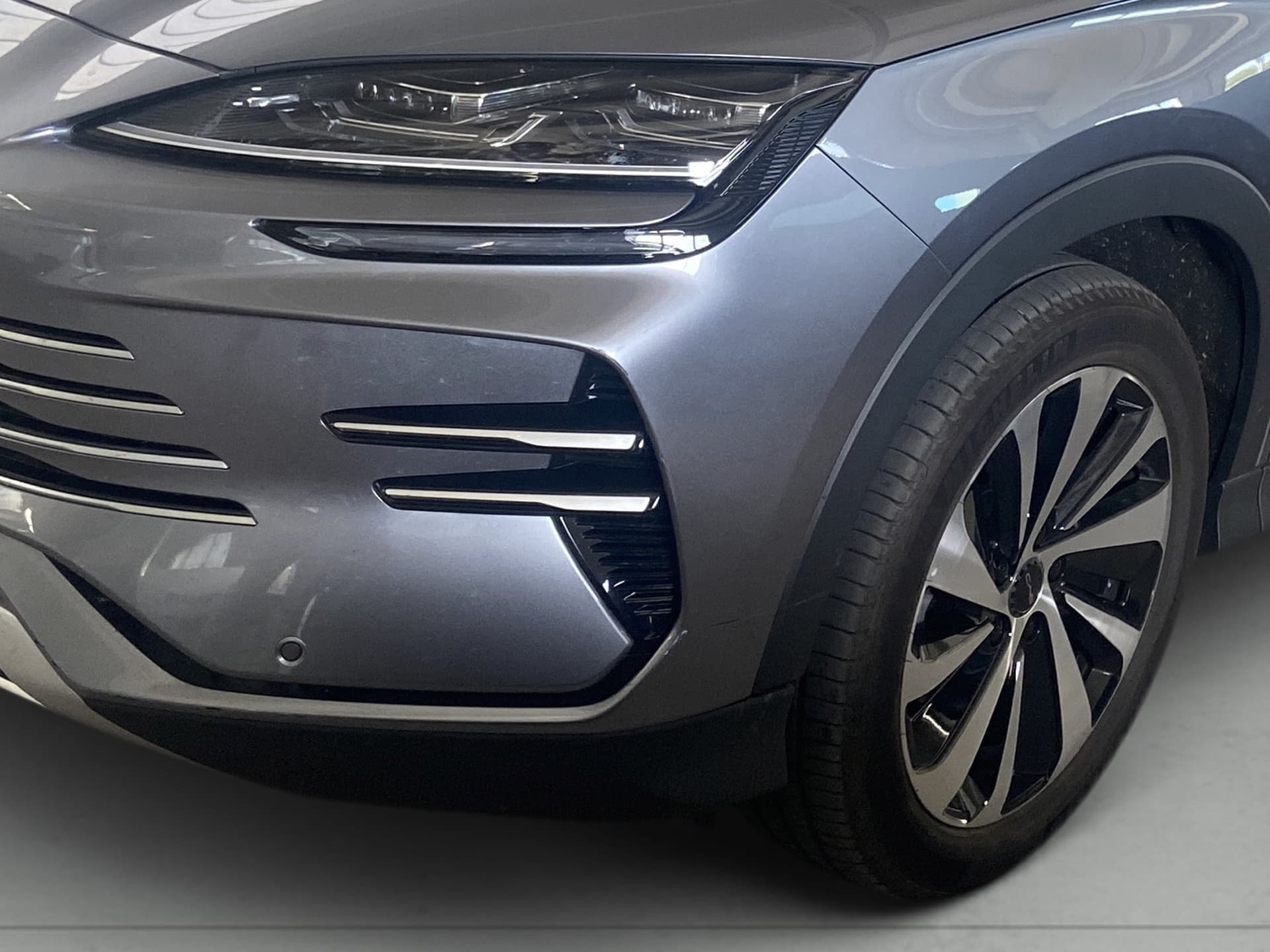 Imagen 7 del byd dolphin